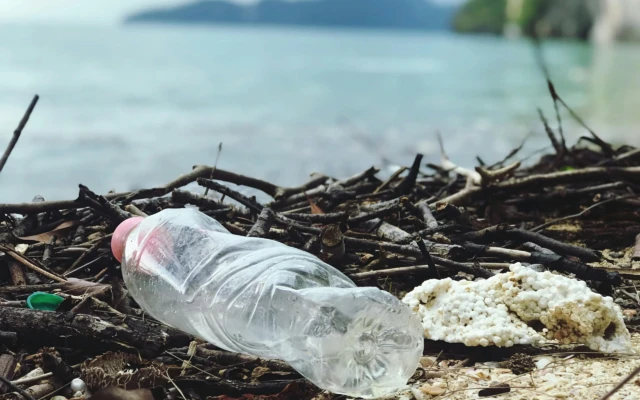 Fully biodegradable bioplastic made of barley