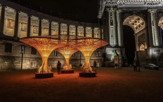 What Not to Miss at Dutch Design Week 2024: Biobased and Circular Materials