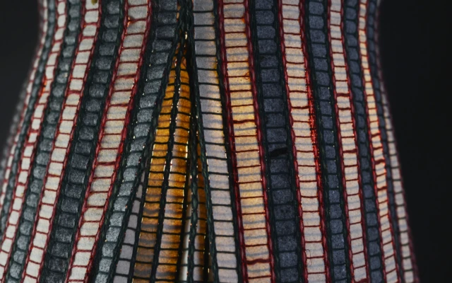 Bianni’ – Wool Paper