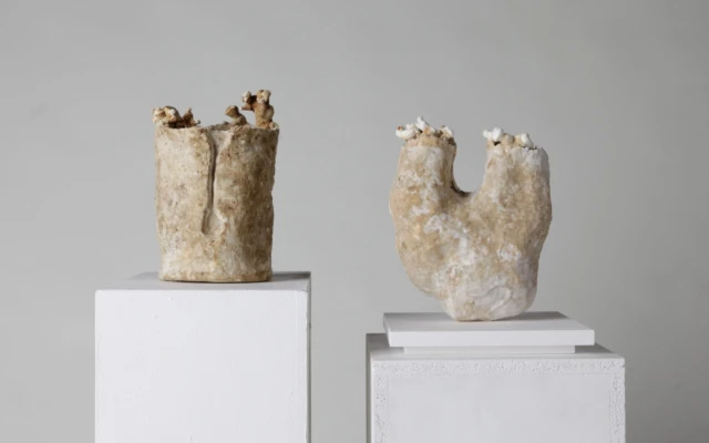 Sculptural Mycelium
