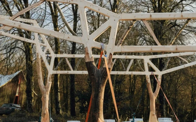 Innovative Timber Construction: The Tree and the Truss