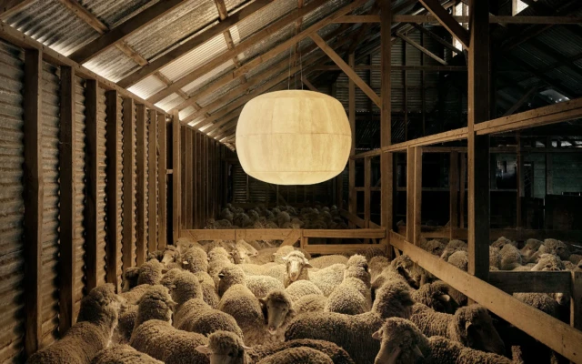 Big Glow: Lighting Innovation Using Biobased Wool Materials