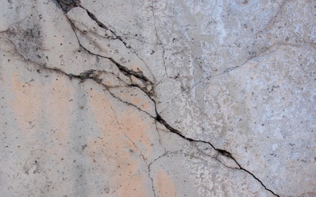 Self-Healing Cement: Freezer-Stored Bacteria for Sustainable Construction