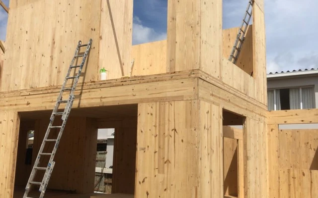 Eucalyptus grandis Cross Laminated Timber (CLT)