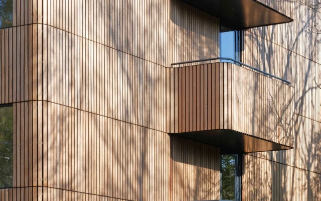 Platonised wood