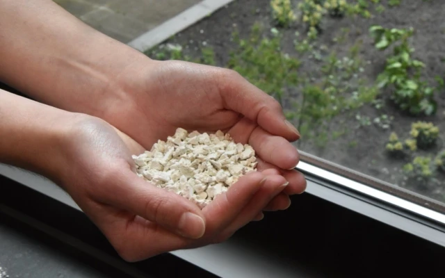 Caleyda: A Natural, Biodegradable Alternative to Plastic