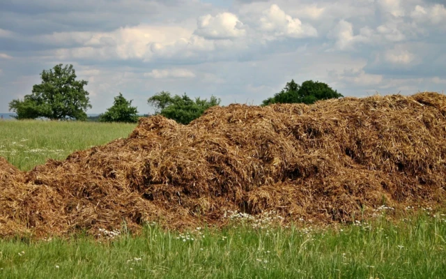 Converting Cow Manure into Manufacturing-Grade Cellulose: A New Circular Material Approach