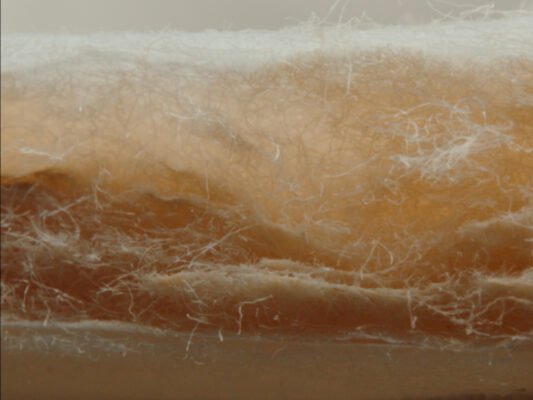from-plastic-to-nature-the-hiro-diaper-harnesses-fungi-for-biodegradable-innovation-materialdistrict-4