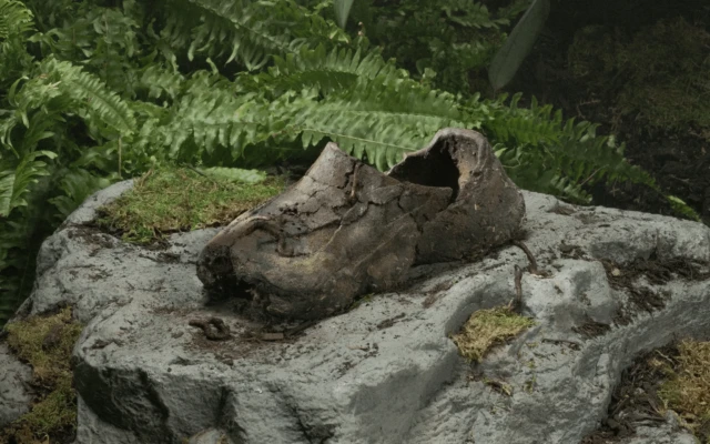 Dirt Shoes: Footwear That Returns to the Earth