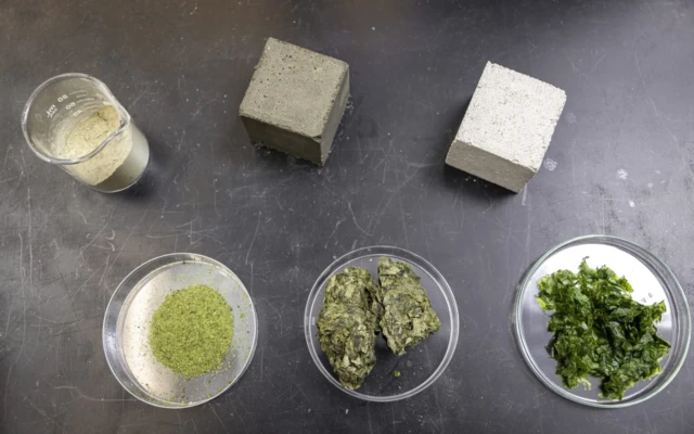 Seaweed-Based Concrete Offers a Greener Path for the Built Environment
