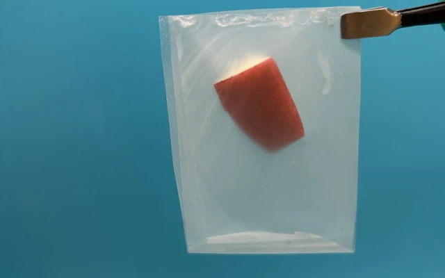 Leaf-Inspired Bioplastic Promises Strong, Fully Biodegradable Packaging
