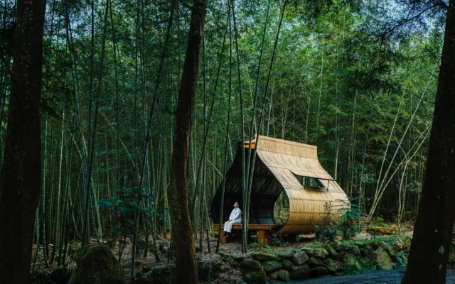 Bamboo Cabin Plan: A Sticky Rice Dumpling in the Forest
