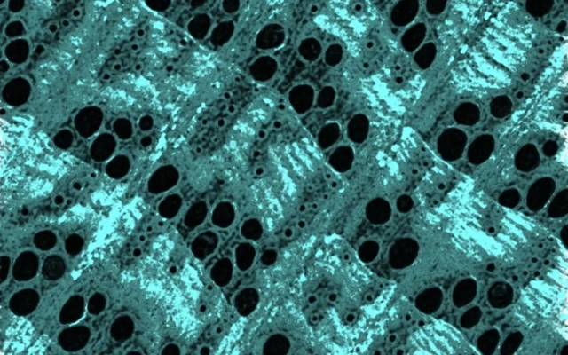Reinforcing Wood with Nano-Iron for Sustainable Design