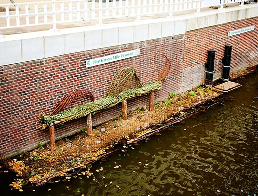 The EcoWal: Amsterdam’s Living Quay Wall for a Greener City