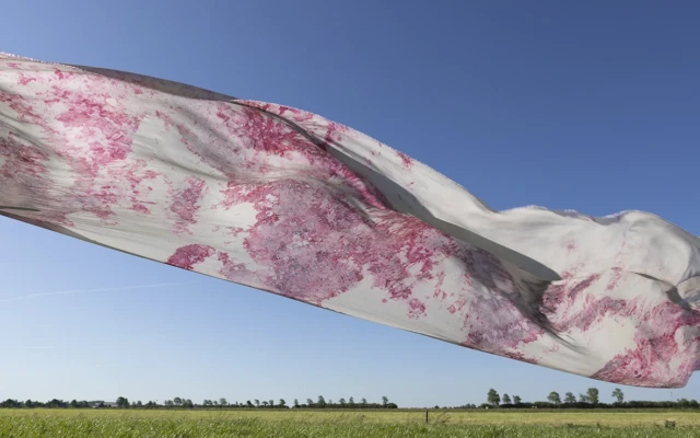 What not to miss at Dutch Design Week 2025: Biobased Materials