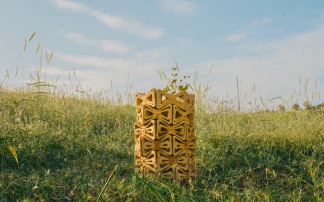 3D Printed Earthen Shelter Nurtures Young Trees Through Microclimate Design
