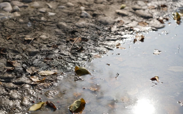 Light-Activated Material Offers A New Route To Cleaner Water