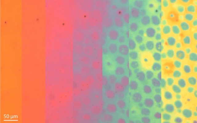 Octopus-Inspired Material Enables Dynamic Colour And Texture Changes