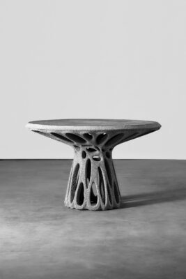 Mangrove-3D—101-2