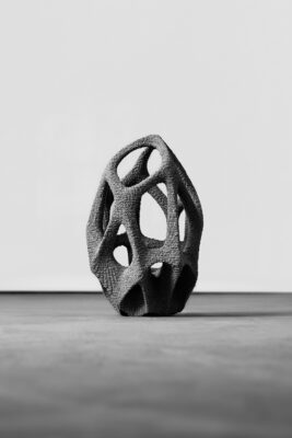 Mangrove-3D—142-2