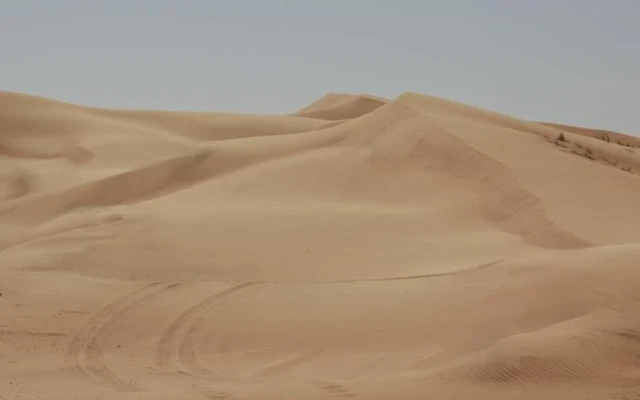 Eco-Friendly Desert Sand Bricks Offer Low-Carbon Alternative To Portland Cement