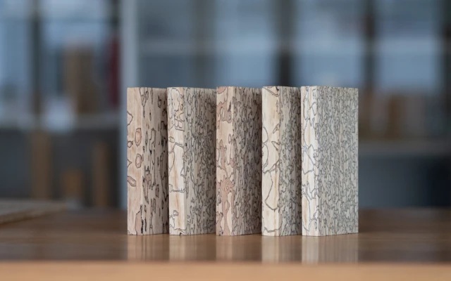 Signed By Fungi: Controlled Spalted Wood Elevates Local Hardwood