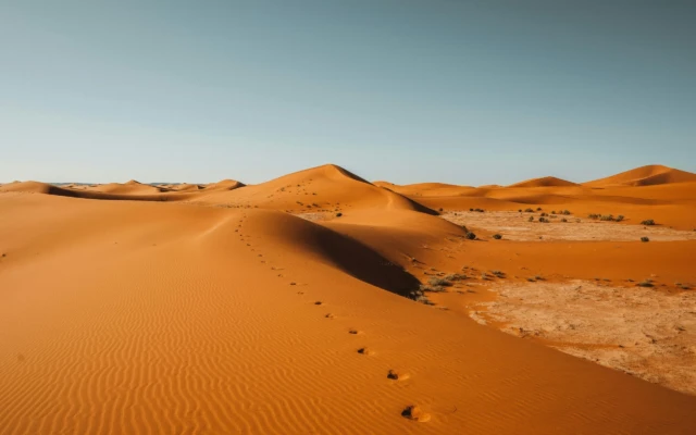 Turning Desert Sand Into a Viable Building Material