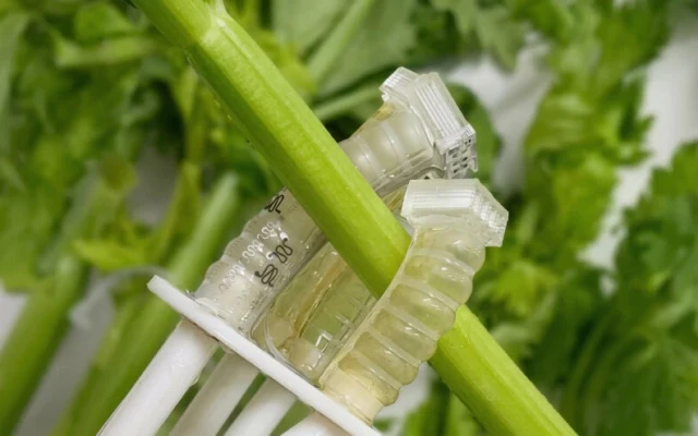 Compostable Soft Robotics: Plant-Based Materials That Return to the Soil