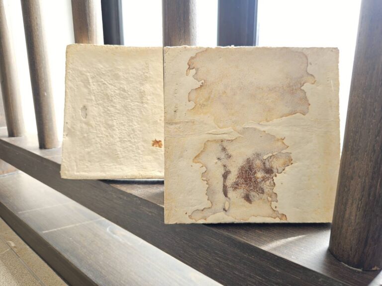 Mush Surfaces – Bio-Lithic Edition