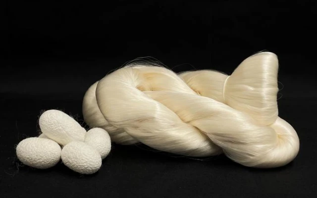 From Silkworm to Super Material: Fused Silk Rivals Kevlar in Strength