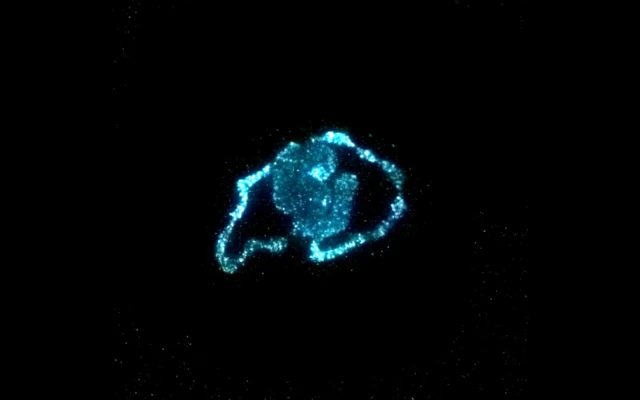 Living Light: Bioluminescent Algae As A Material For Sustainable Illumination