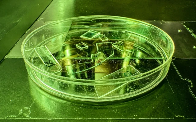 Nanotextured Plastic Film Mechanically Neutralises Viruses On Contact