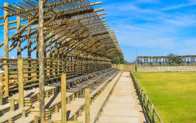 Africa’s First FSC-Certified Timber Stadium Opens in Lesotho