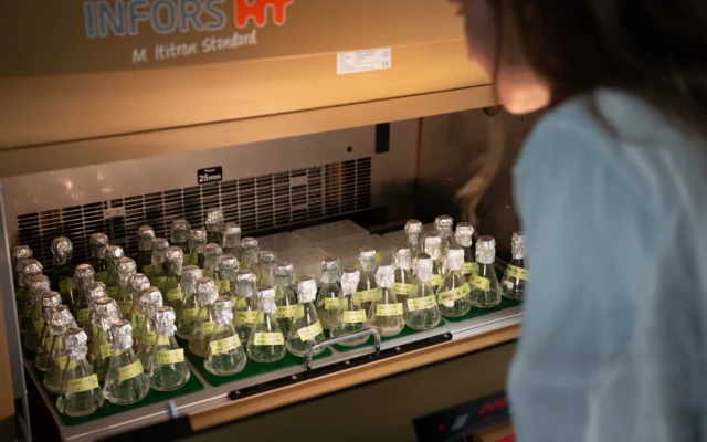 Bacterial Factories Turn CO₂ into Feedstock for Sustainable Materials