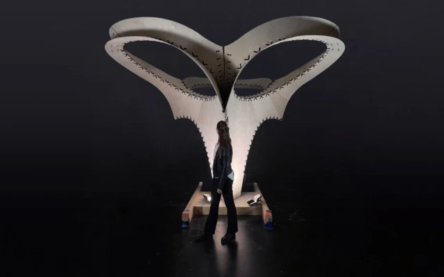 Curve-Fit Timber Enables Free-Form Timber Structures with Flat-Packed Modules