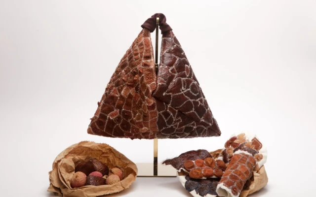 Peel: Transforming Discarded Fruit Skins into Biodegradable Design Materials
