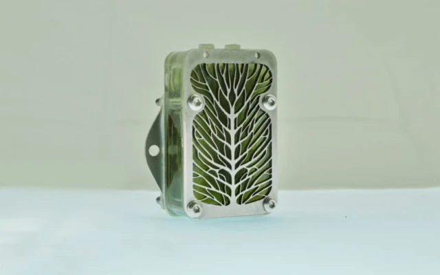 Living Algae Biocells Offer An Alternative To Disposable Batteries